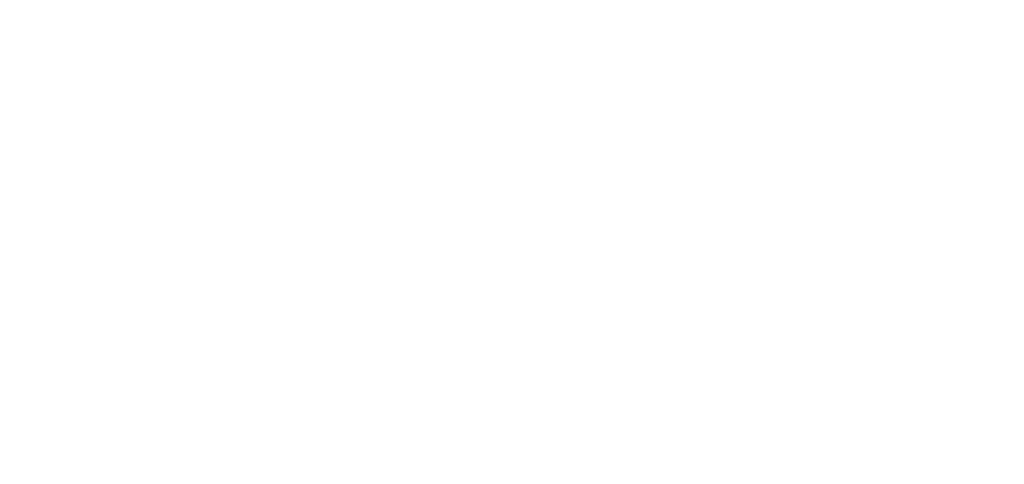 Lise Tailor