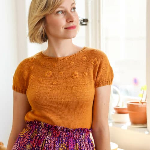 patron tricot rosée