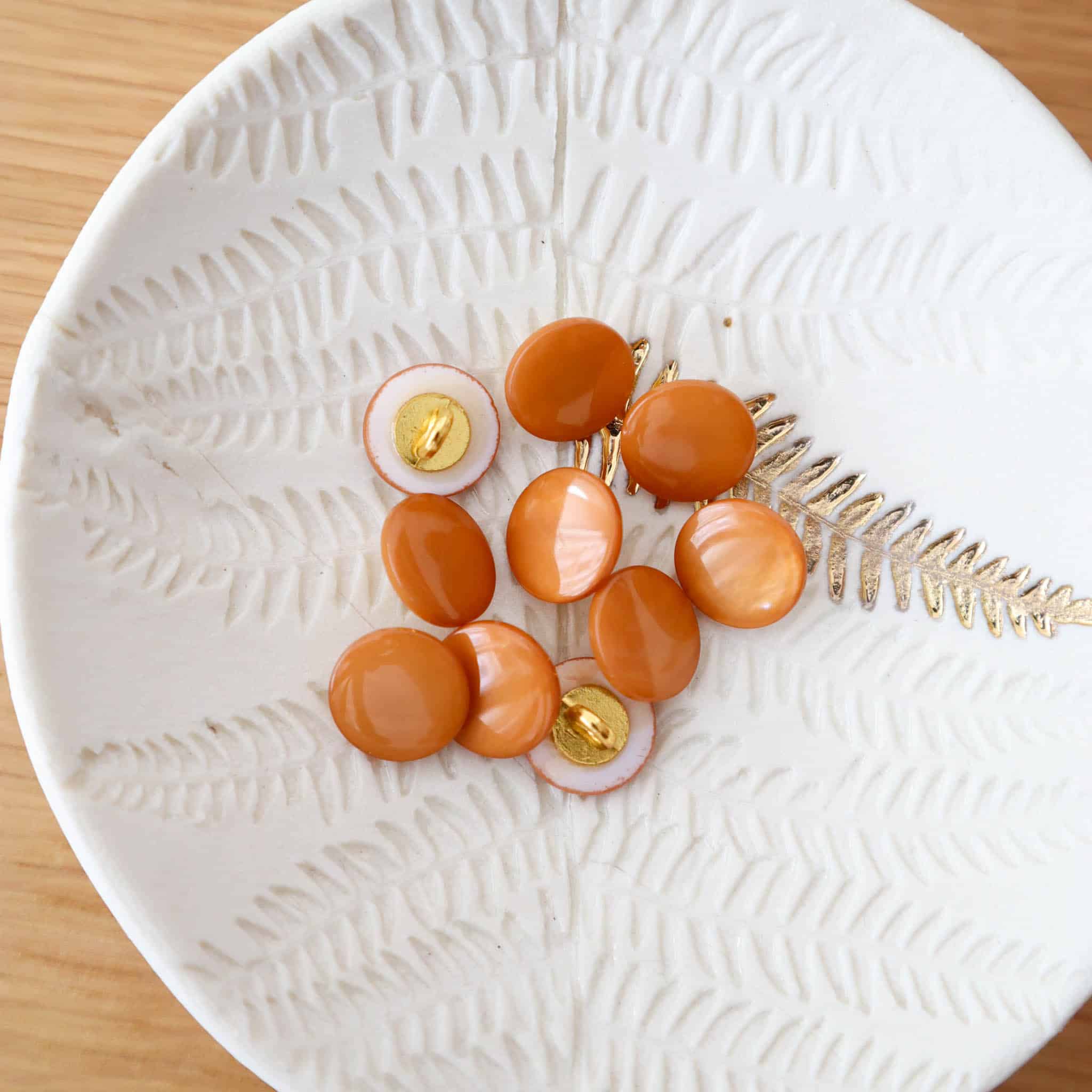 Bouton en nacre à queue – Bouton d'Or – Image 2