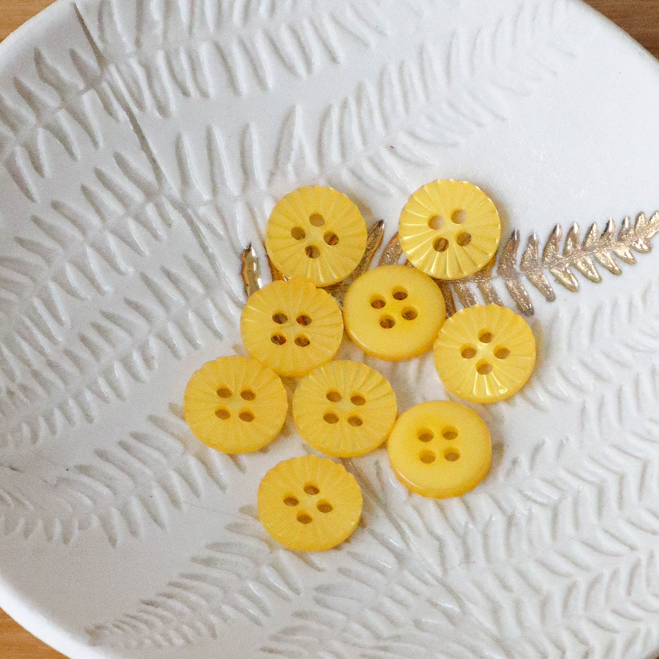 Bouton Pâquerette - Mimosa