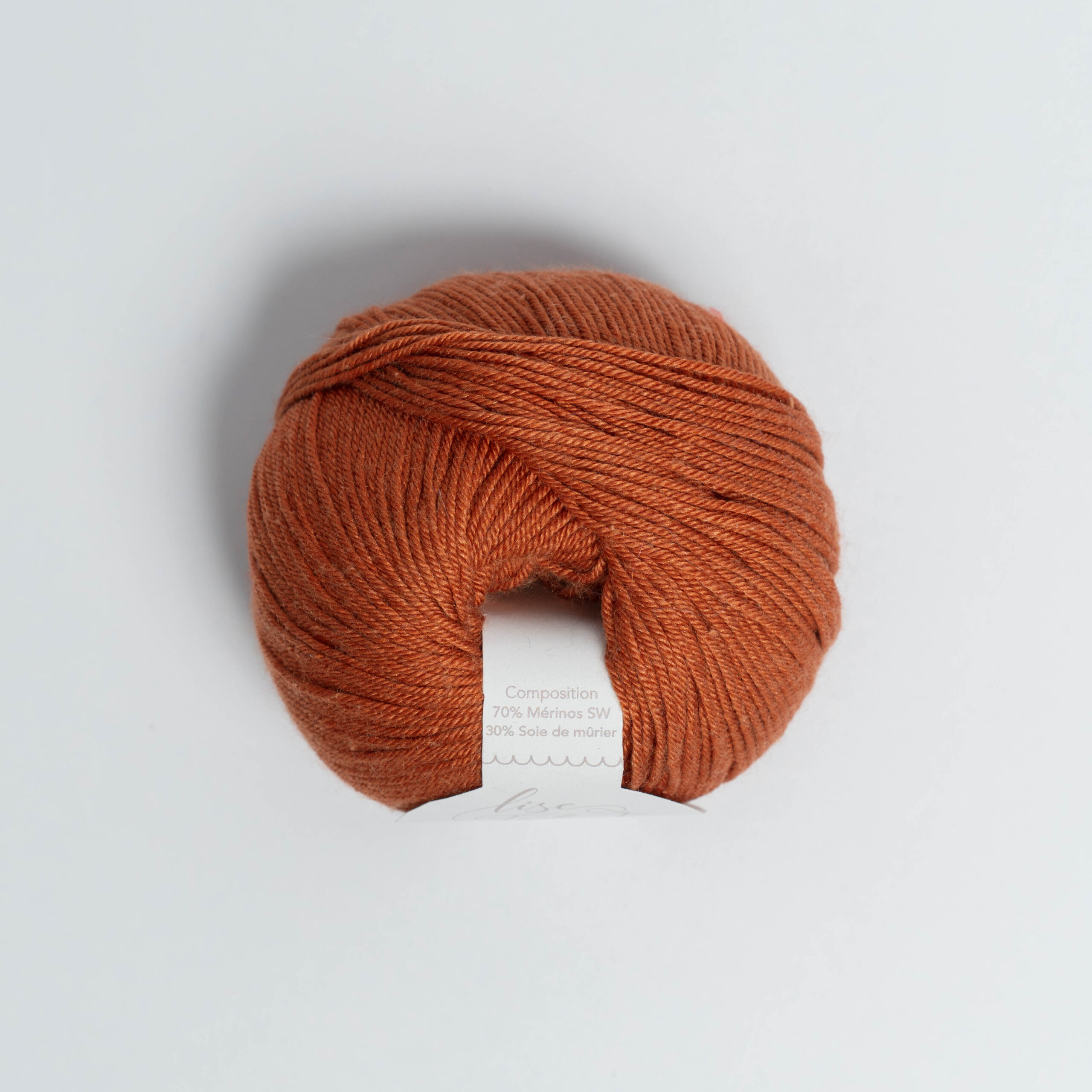 Mérinos & Soie - Caramel – Image 3